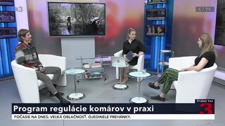 V Bratislave a okolí vznikne program regulácie komárov. Čo chce ľuďom priniesť?