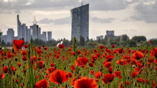 Európsky bankový sektor je bezpečný. Zmena však môže prísť po hromadných výberoch peňazí, upozorňuje ECB