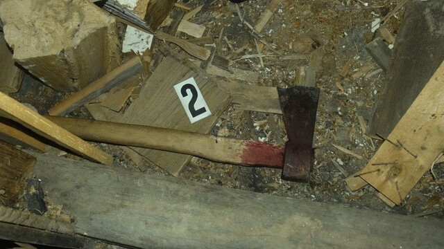 Hrozivý prípad týrania. Muž mal motykou a sekerou ubiť na smrť svojho psa