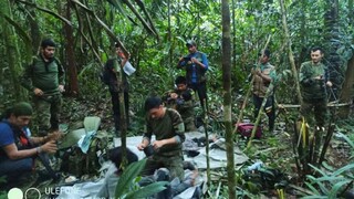 FOTO: Stratené v pralese. Deti, ktoré boli 40 dní nezvestné, sa v kolumbijskej džungli našli živé