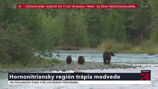 Kauza medvede: Štúdia o počte medveďov je v zhode s monitoringmi v chránených územiach