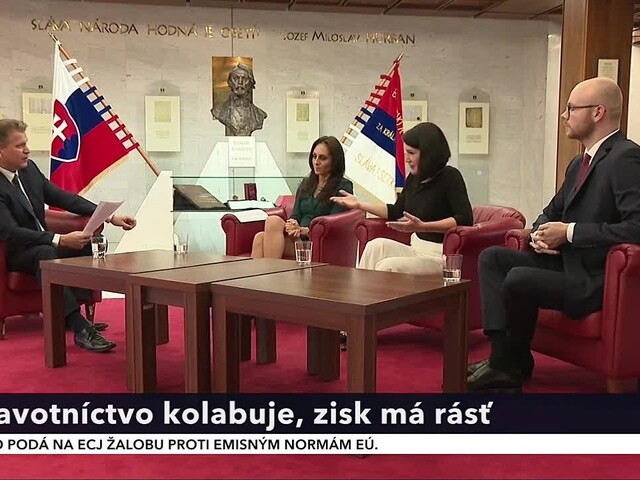 Zdravotníctvo kolabuje, ale zisk poisťovní má rásť