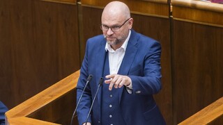 Saskári podávajú ku konsolidačnému balíku pozmeňujúce návrhy. Rozpočet je vraj propagáciou Pellegriniho kampane 