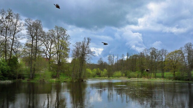 Matka sa šla s dcérou kúpať do rybníka. Ich nevládne telá našli nasledujúci deň