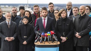 Progresívne Slovensko predstavilo program. Zameriava sa na ochranu ľudských práv či boj proti nenávisti