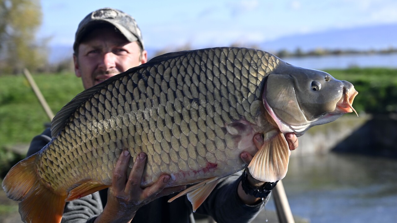 Rybári zaplačú. Ceny povolení na rybolov rapídne porastú