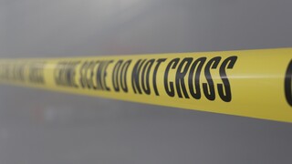 Slovák, ktorý zavraždil učiteľku v Írsku, spoznal svoj trest. Cítil sa však nevinný