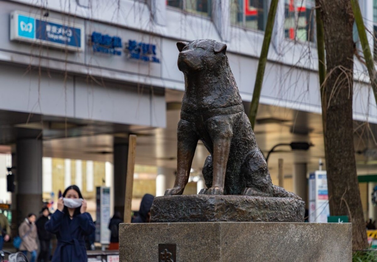 Socha Hachiko