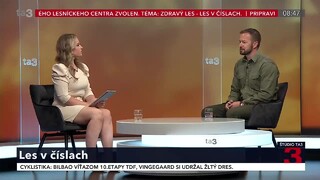 Situácia sa za posledné roky zlepšuje. Slovenské lesy sa darí obnovovať, ukazuje Zelená správa