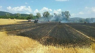 V okrese Dunajská Streda zhorela úroda. Rozšíreniu požiaru sa podarilo zabrániť