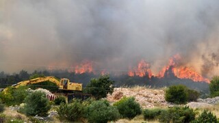 FOTO: Pri obľúbenom chorvátskom letovisku vypukol rozsiahly požiar, hasenie komplikuje vietor