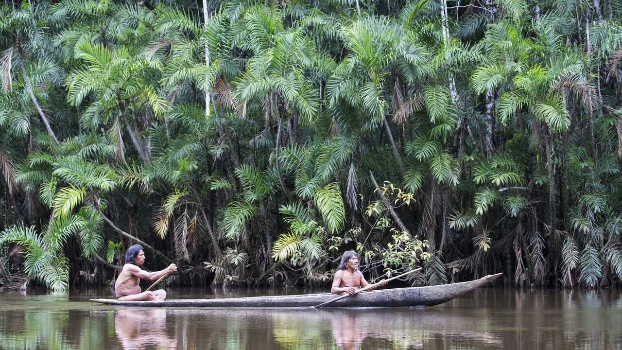 Štyridsať dní v džungli. Nejde o názov filmu, ale o realitu štyroch detí v kolumbijskom pralese