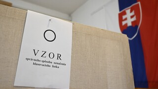 Poškodený či pokreslený hlasovací lístok? Stále bude platný