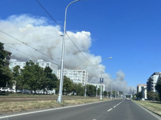 Požiar poľa v blízkosti Bratislavy je konečne zlikvidovaný
