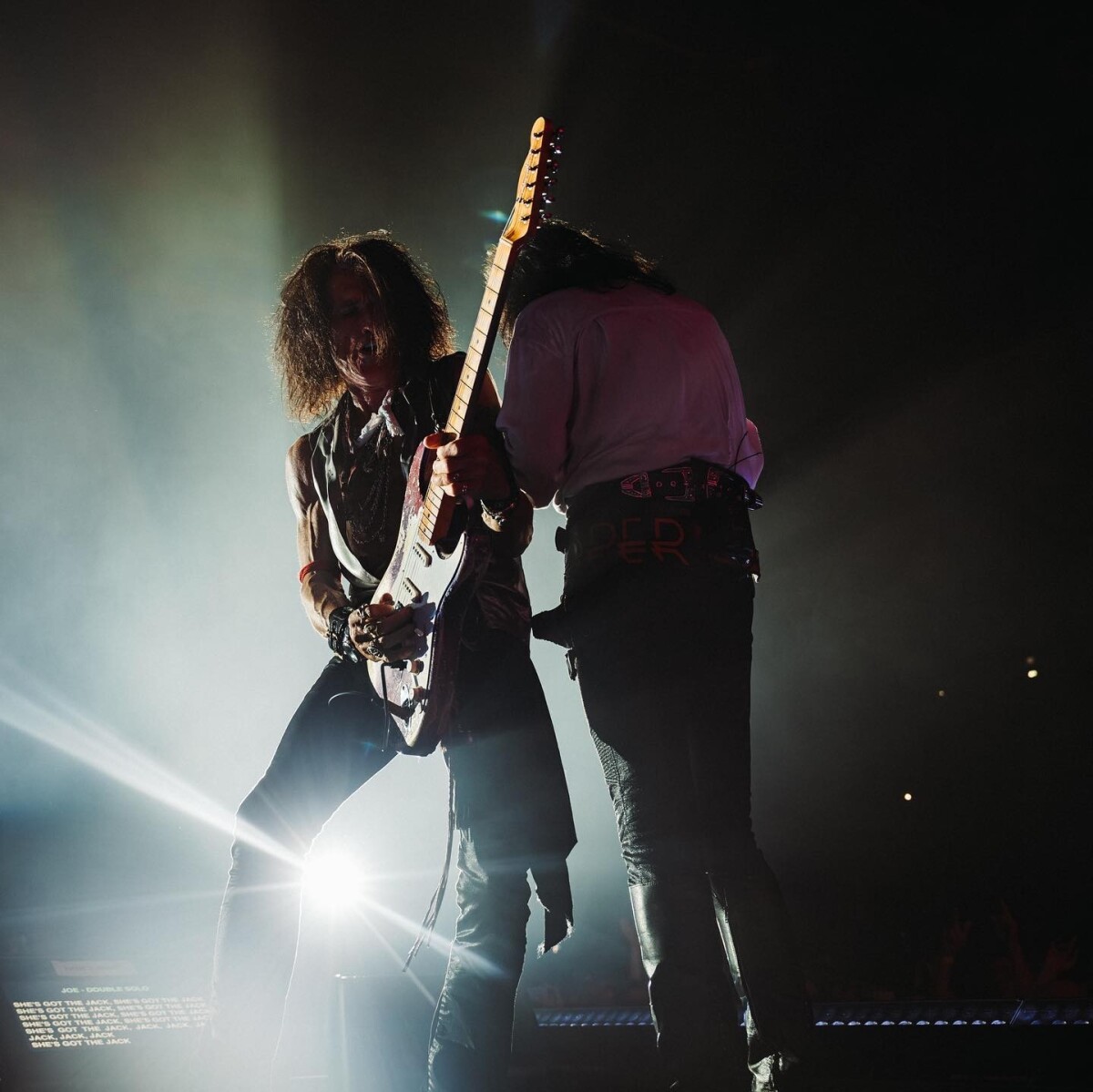 Hollywood Vampires - Joe Perry