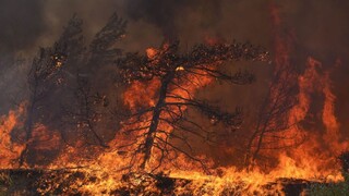Hasiči bojujú s požiarmi v Portugalsku a Chorvátsku, vyčíňajú pri Dubrovníku