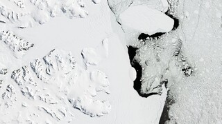 Antarktída stratila rekordné množstvo morského ľadu. Môže to ovplyvniť život na celej planéte