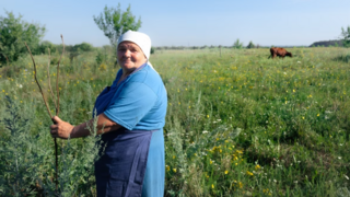 Svedectvo z ukrajinskej Avdijivky: Vojna zabíja život. Včely sú agresívnejšie, mlieko chutí inak