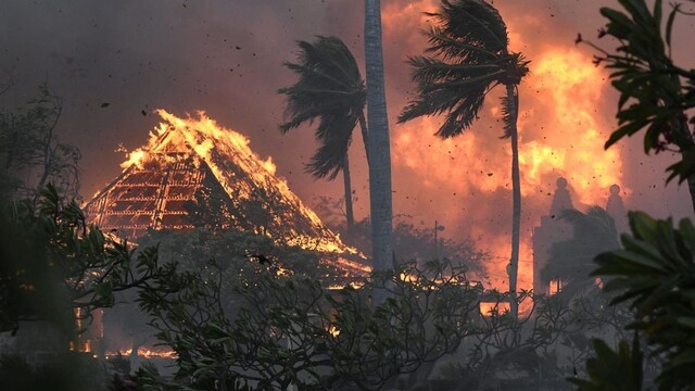 FOTO: Havajský ostrov sužujú požiare, ľudia utekajú do mora. Takto vyzerá spálená zem
