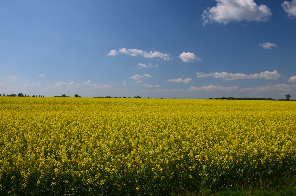 Poľnohospodárstvo Nové Zámky
