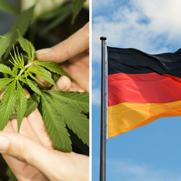 Nemecko je bližšie k legálnej marihuane. Pôžitkári budú môcť vlastniť až 25 gramov