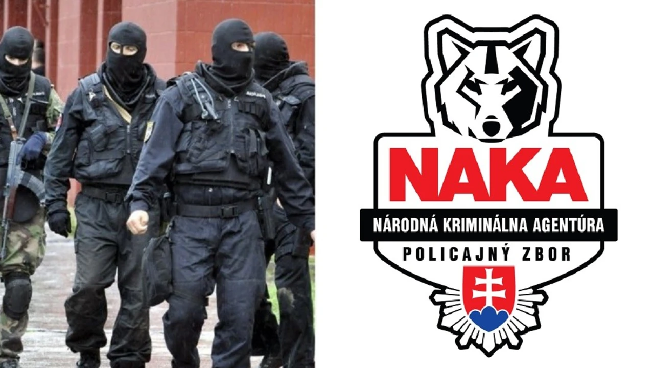 Najskôr vyšetrovali čurillovcov pre manipulácie výpovedí, potom ich zadržala NAKA