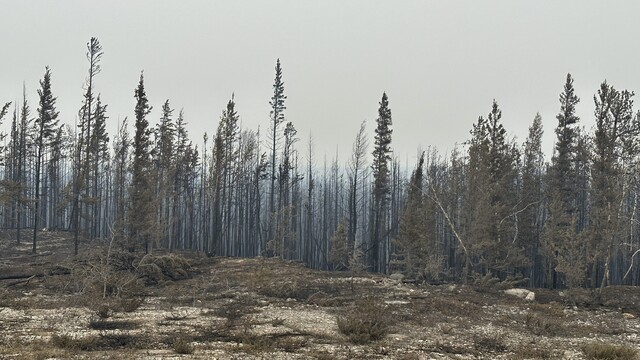 FOTO/VIDEO: Rýchlo šíriaci sa oheň na severe Kanady nevedia zastaviť. V meste Yellowknife začala evakuácia