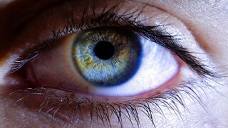 Kmeňové bunky pomohli prinavrátiť zrak pacientom s poranením oka