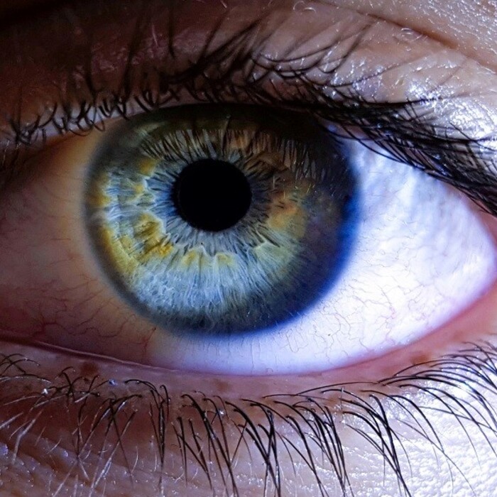 Kmeňové bunky pomohli prinavrátiť zrak pacientom s poranením oka