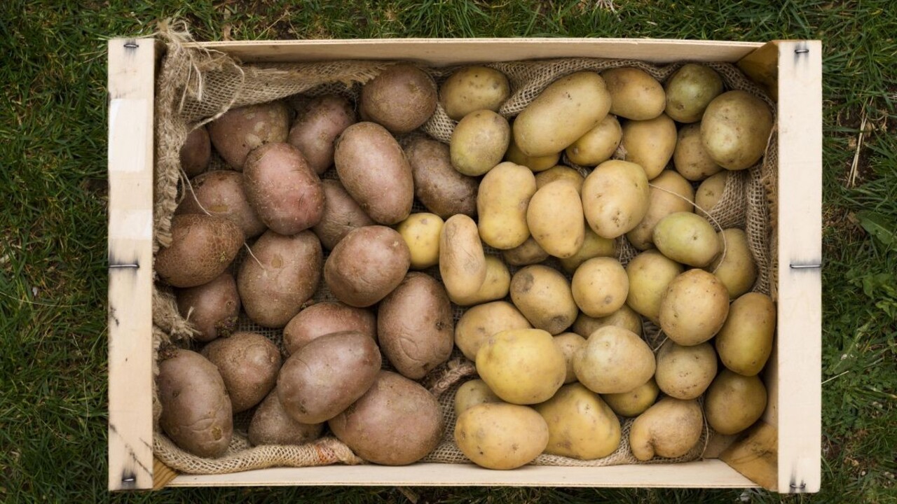 Udržte zemiaky dlho čerstvé: Ak k nim dáte toto ovocie, nenaklíčia celé týždne