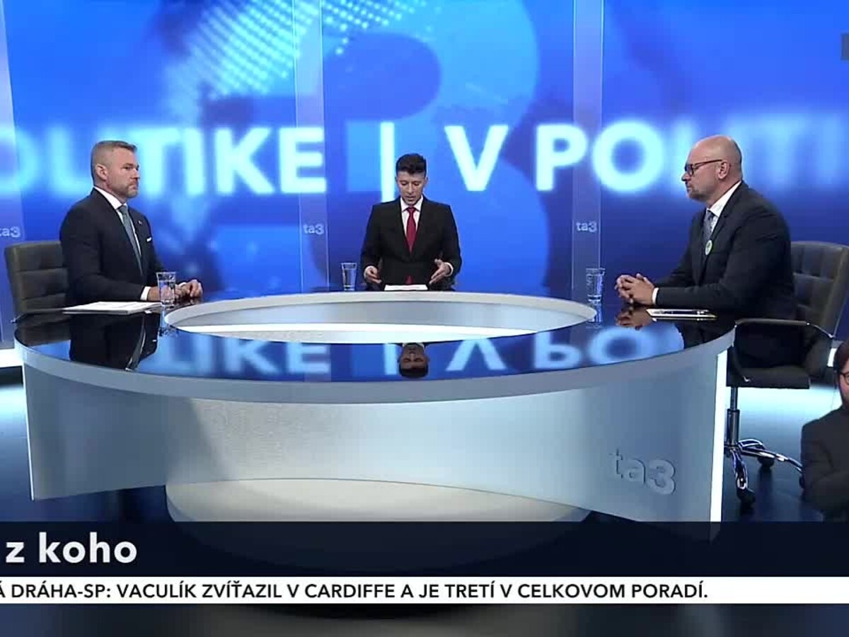 v_politike_31.jpg