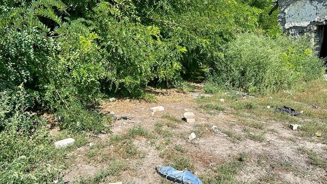 WhatsApp Image 2023-09-08 at 16.27.05.jpeg