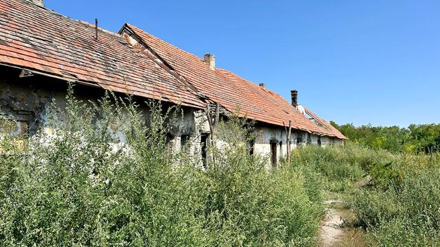 WhatsApp Image 2023-09-08 at 16.27.07.jpeg