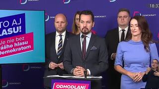Výzvy strán pred voľbami. Čo žiadajú Demokrati?