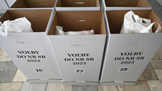 ROZHOVOR: Predvolebná kampaň končí. Politici často zavádzajú vo svoj prospech, tvrdí odborník