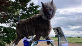 Japonci sa vynašli. Ich robotický vlk plaší medvede