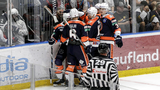 Po troch prehrách víťazstvo. Hokejisti Michaloviec triumfovali nad Duklou Trenčín