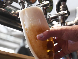 pivo