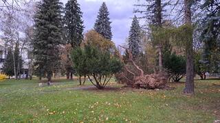 Sledujte RADAR: Spadnuté stromy a domácnosti bez elektriny. Ciarán úraduje aj na Slovensku