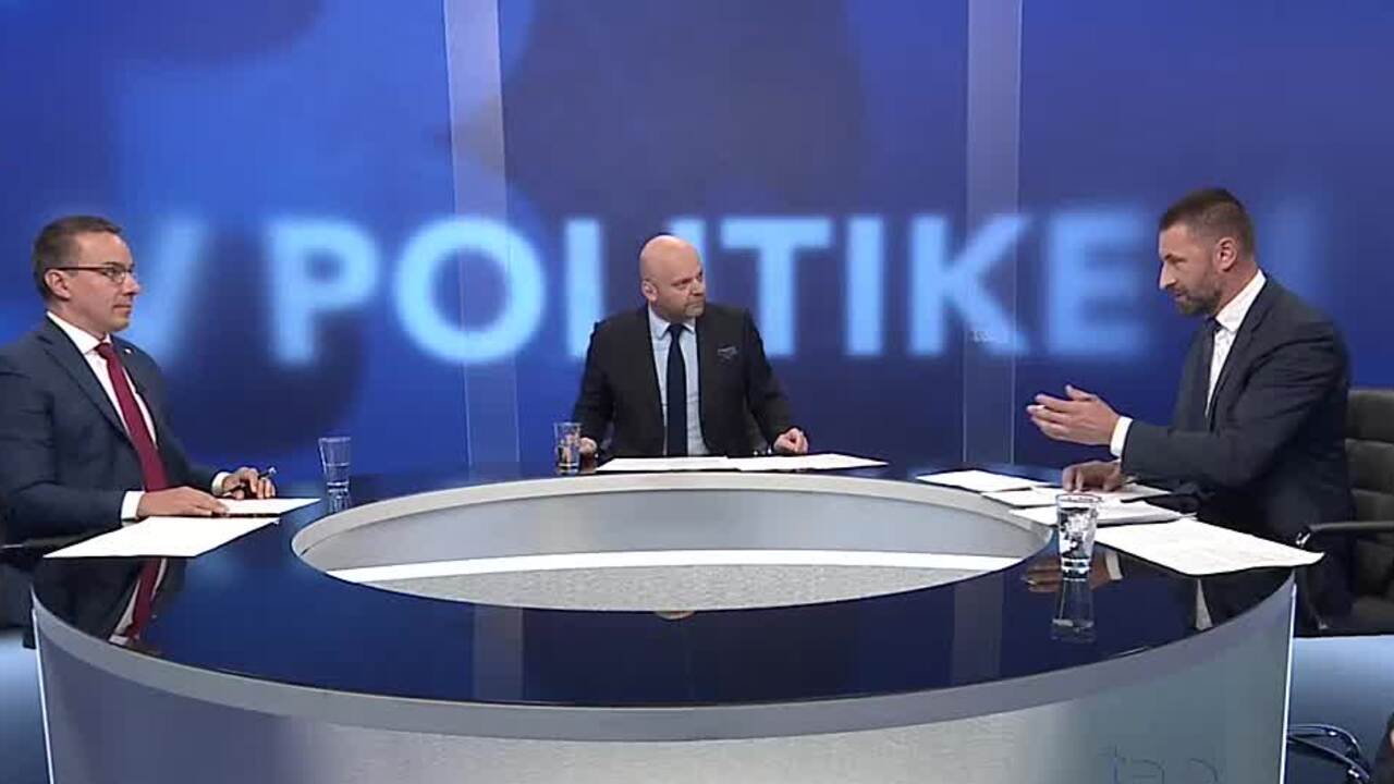 v politike