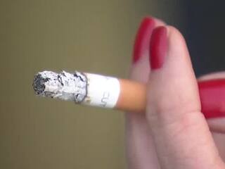 cigarety