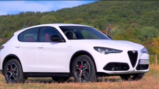 Atraktívny, temperamentný Talian