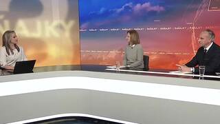 Umenie pomáhať. Ako vyzerá charitatívny aukčný salón v praxi? 