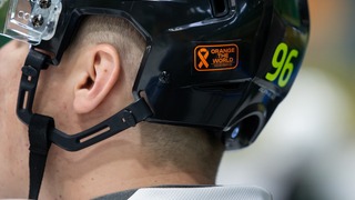 Vlci Žilina sa aj tento rok zapájajú do celosvetovej kampane proti násiliu na ženách