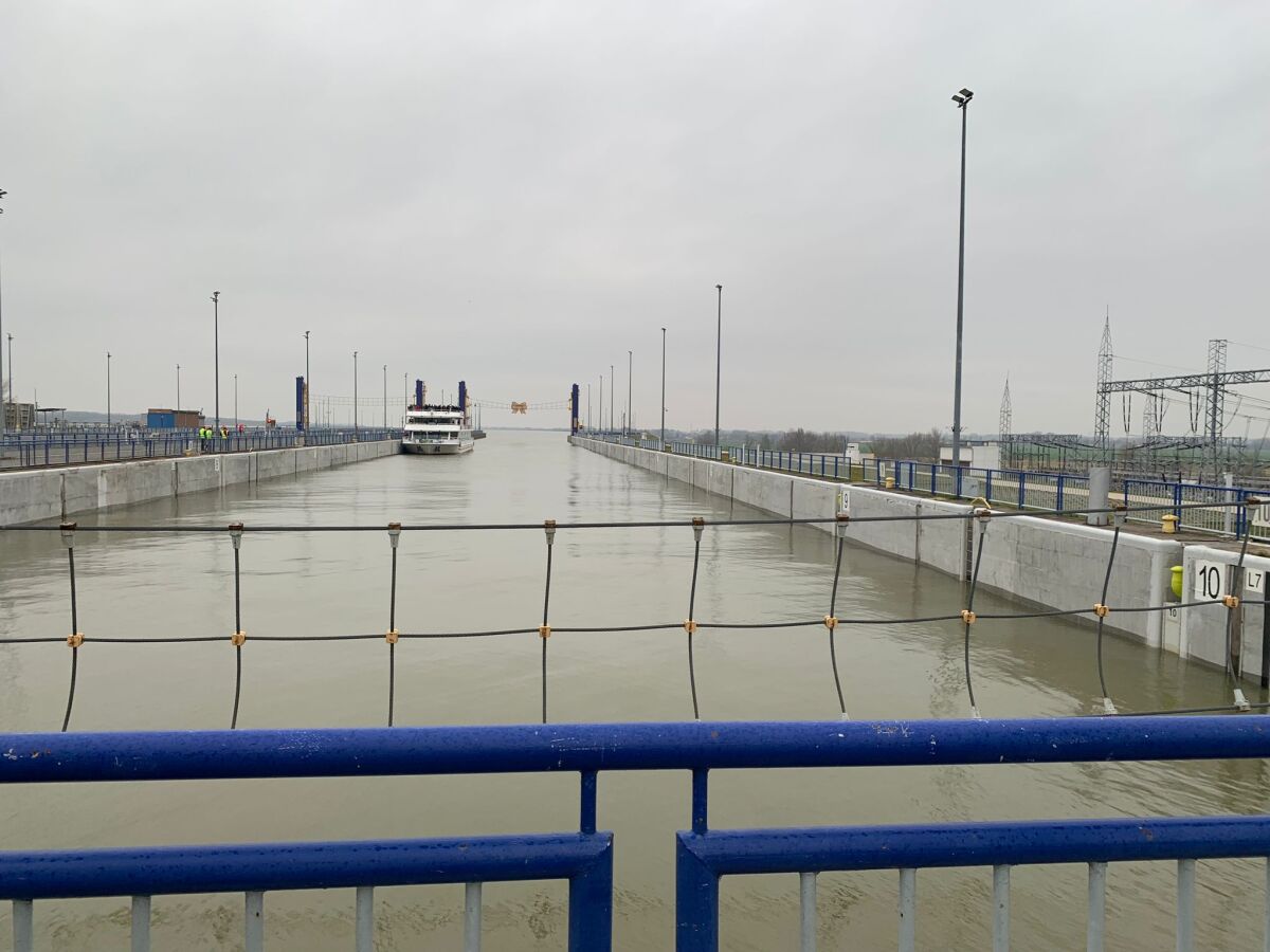 WhatsApp Image 2023-11-30 at 12.49.18.jpeg