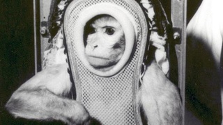 Štvornohí astronauti: Do vesmíru smeruje 500-kilová kapsula so zvieratami 