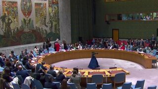 OSN nemôže overiť okolnosti pádu ruského lietadla. Poľanskij obvinil Ukrajinu z premysleného útoku