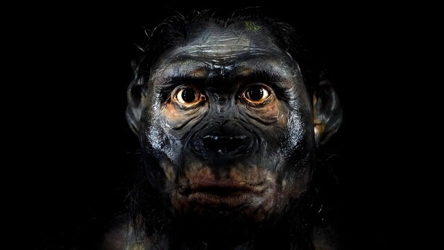 neanderthal/neandrtalec