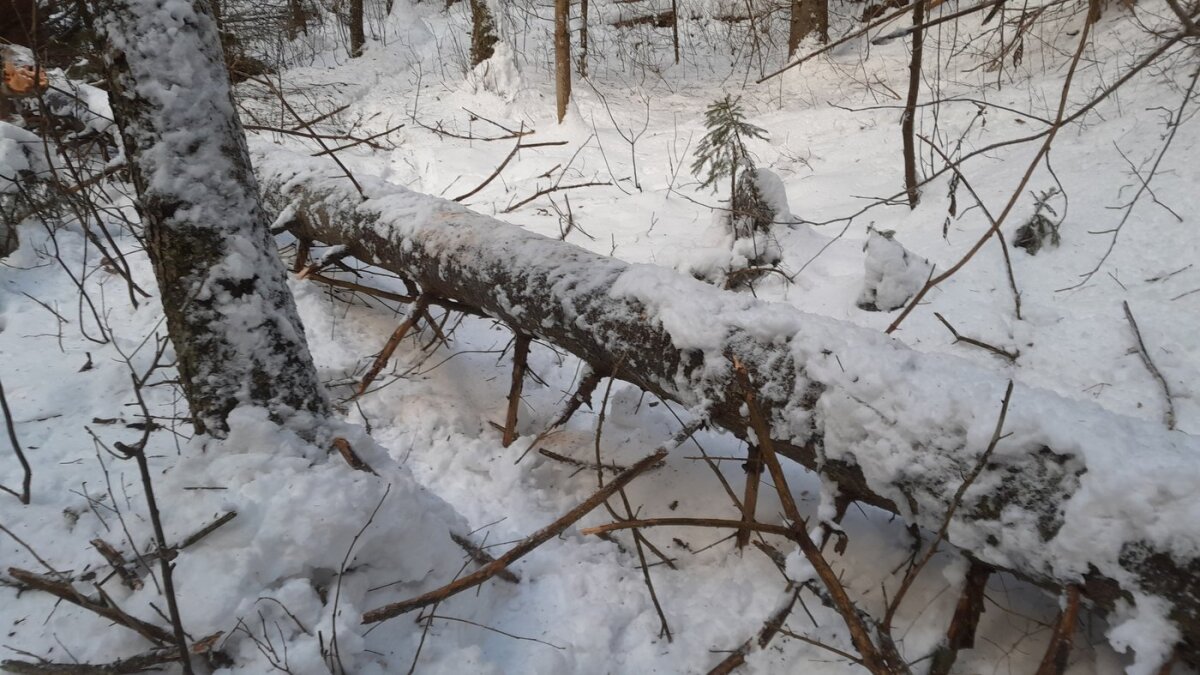 Uzávera doliny Tiesňavy pri Stratenej