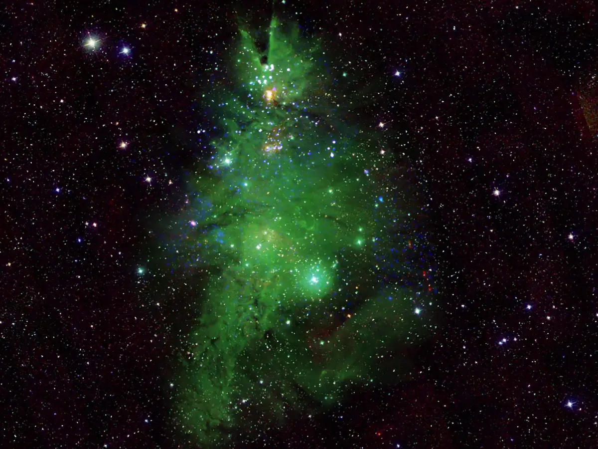 ngc2264.webp